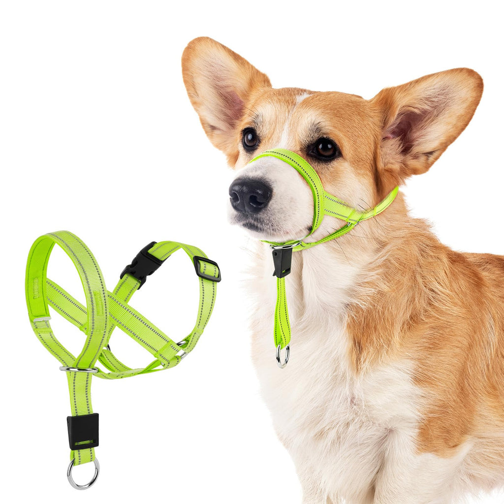 Gentle Lead for Dogs Reflective Head Collar for Dogs adjustable Dog Muzzle Anti Pulling Dog Leash (Green Small)
