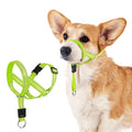 Gentle Lead for Dogs Reflective Head Collar for Dogs adjustable Dog Muzzle Anti Pulling Dog Leash (Green Small)