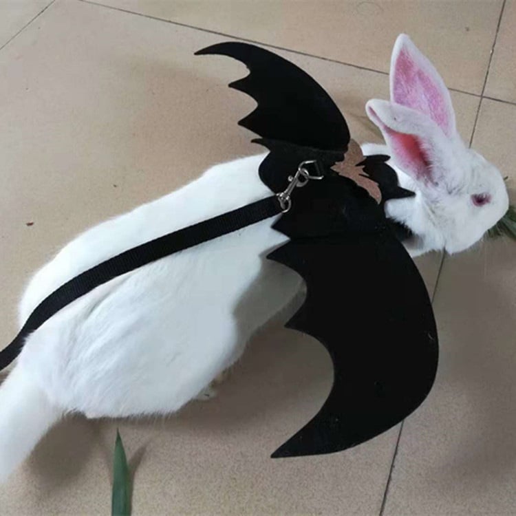 Pet Halloween Costume with Bat Wings