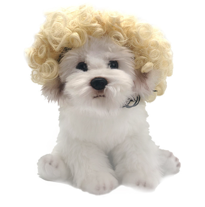 Wig Cosplay for pets Toshomono  Costumes
