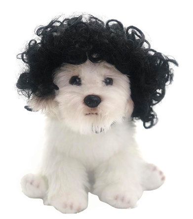 Wig Cosplay for pets Toshomono  Costumes
